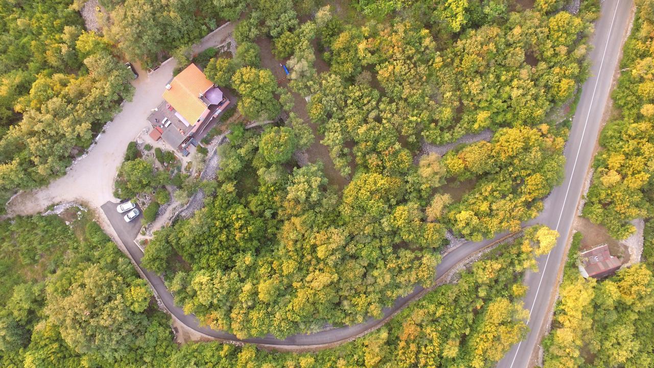 The Forest House Krk 1 Kras المظهر الخارجي الصورة