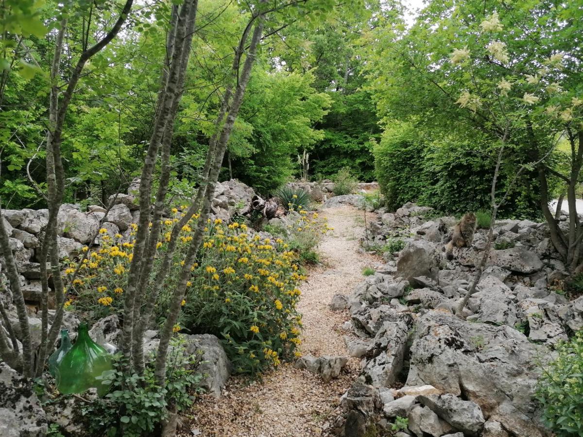 The Forest House Krk 1 Kras المظهر الخارجي الصورة